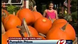 Pumpkin Shortages Mean Price Hikes
