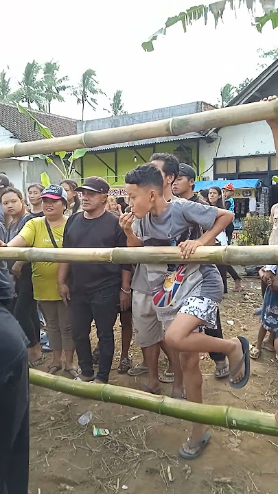 SADEWO SEKAR ARUM on Jaranan TV Malang #jaranan #bantengan #dj #gamelan #angklung #kendang