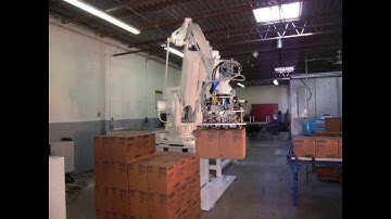 PSA Box Palletizing - ABB Robot
