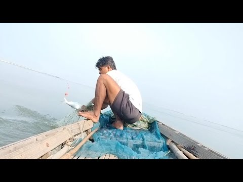 HOW TO CATCH FISH | RIVER HILSHA FISHING | BIG FISH CATCHING | BIG FISH CATCHING Videos | ILISH MAS