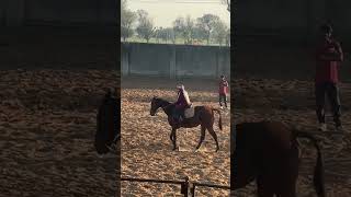 Day2 in riding school🏇🏇#happyrepublicday #horse #horseriding #india #viralshorts 🇮🇳