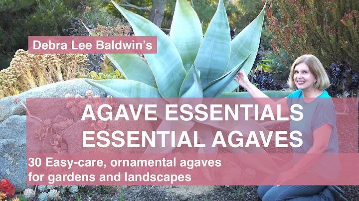 Agave Essentials: 30 easy-care, ornamental agaves ...