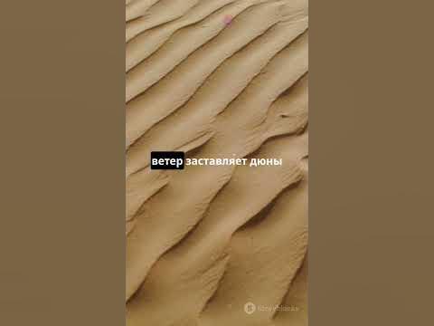 Секреты нашей планеты: удивительные факты #секреты #факты #планета # ...