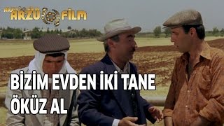 Git Bizim Evden 2 Tane Öküz Al | Kibar Feyzo Resimi