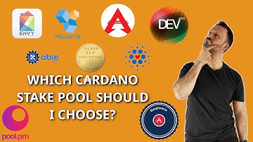 HOW TO CHOOSE A CARDANO STAKE POOL?