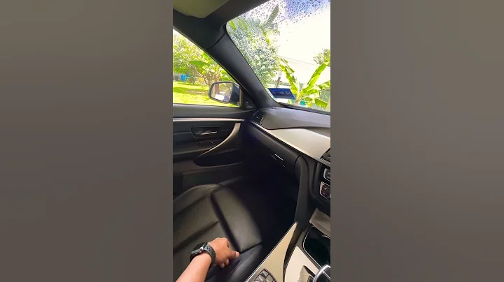 Bmw side mirror tilt during reverse