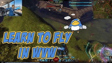 GW2 | WvW | Roaming | Flight School  (how to hammer 4 on willbender)