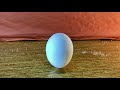 Вертикальне яйце