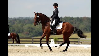 Little Do You Know~Jumping\/Dressage Music Video