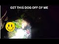 Criminal Who Fled a Traffic stop gets instant Karma