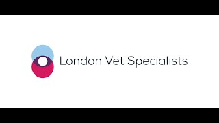 London Vet Specialists Film Reading Session May 2021