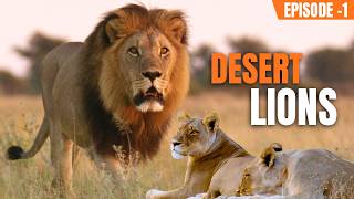 Desert Lions (हिंदी) | Kalahari’s Toughest Predators | National Geographic Nat Geo Documentaries List