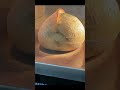 15分钟的疗愈效果 #baking #video #reels #viral #recipe #howto #food #foodie #foodlover #cake #bread #bakery