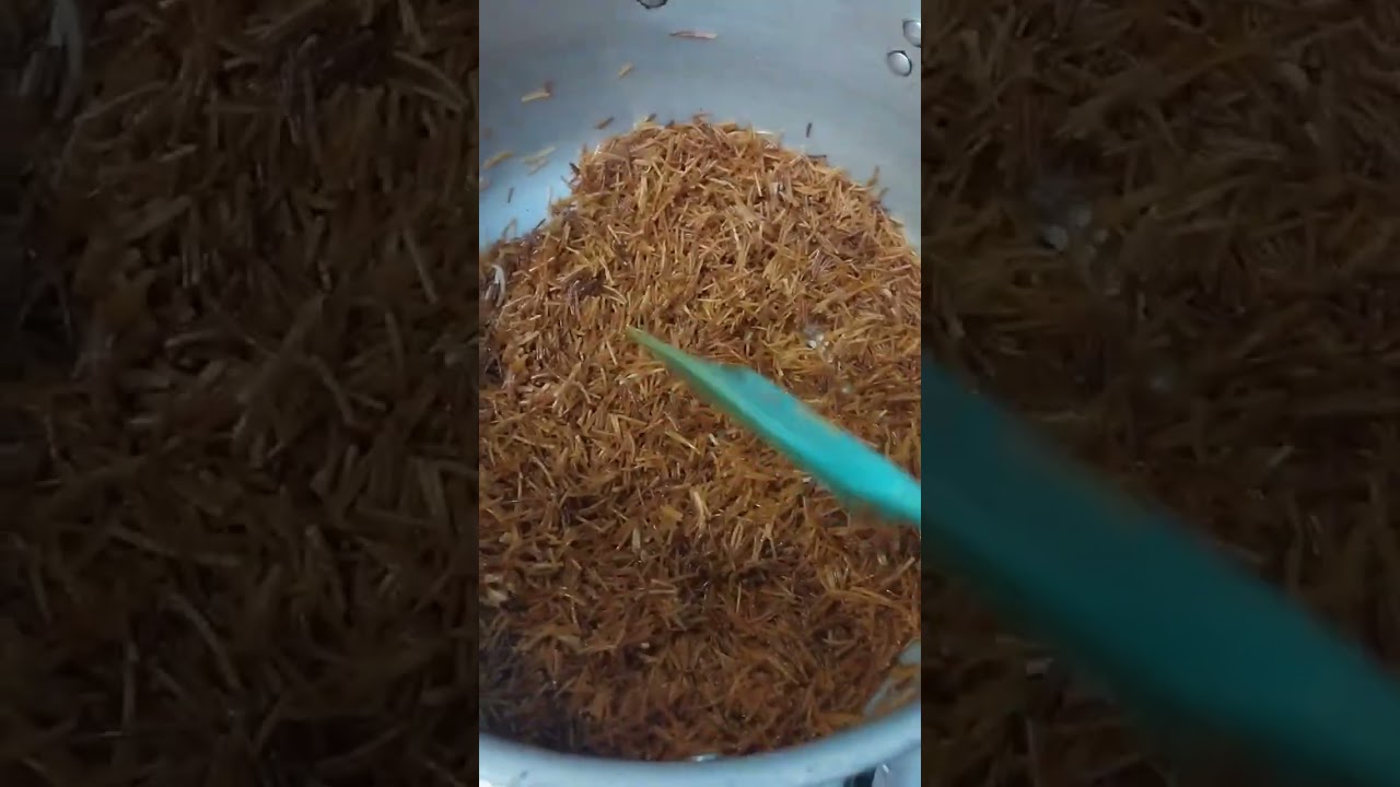 تعالوا نشوف هنعمل ايه على الفطار النهارده