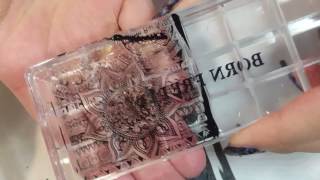 Nail Art for Beginners | Born Pretty store Giant clear stamper | First Impressions