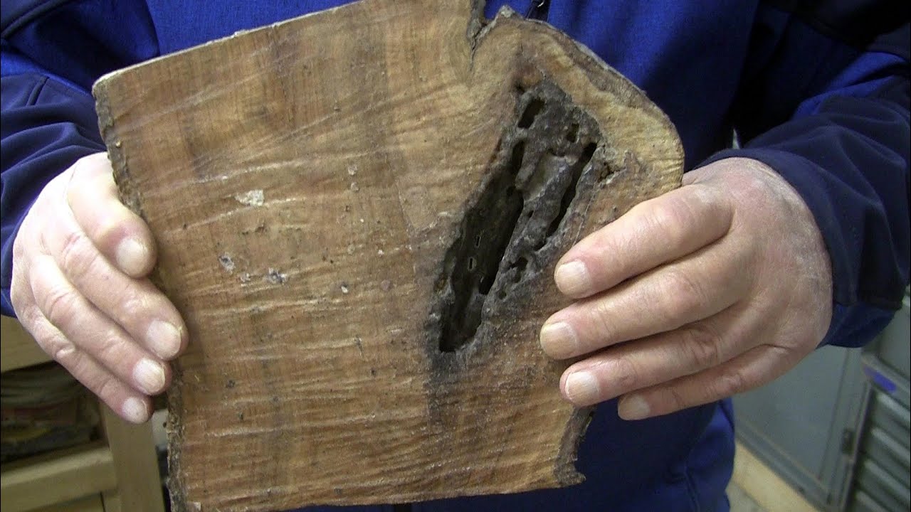 Turning Defects Turning With Defects! - Wood Turning - YouTube
