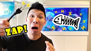 Aquarium Electrocuted My Fish! Tank Mystery Solved || Life After College: Ep. 672