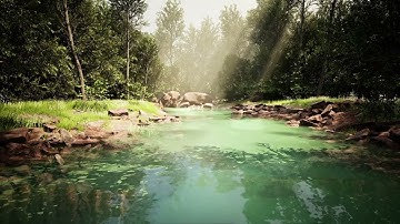 Peace- Unreal Engine 5 + Quixel MegaScans