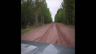 Старый заярск. Братское водохронилище. Иркутская обл. залив "Большой Мамырь" 24.06.2021 г.