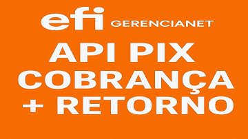 API PIX Efi GerenciaNet transparente em PHP 2025
