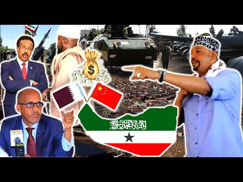 Xogo Fashiliyey Qorsheyaasha Cadowga Somaliland ee Laascaanood Ku Soo Duulley