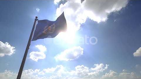 World Health Organisation Flag / WHO Flag on a Flagpole V4 | Motion Graphics - Envato elements