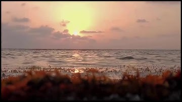 سورة الجن الشيخ إبراهيم العسيري رمضان 1437 هجرية