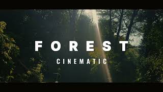 FOREST || Cinematic Video 4K ||