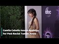 Camila Cabello Issues Apology for Past Racist Tumblr Posts