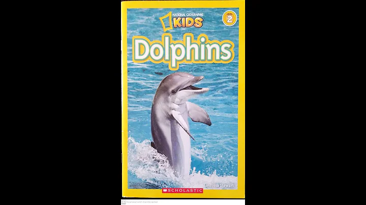 Read Aloud- Dolphins by Melissa Stewart | Nonfiction Animals