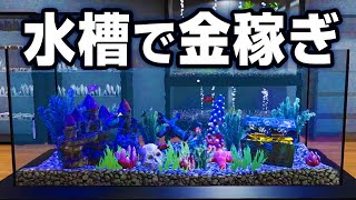 育てた魚を売りさばいて金にするゲーム【Aquarist】 screenshot 1