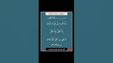 سورة النجم - سورة 53 - اية 28