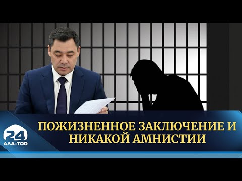 Пожизненное заключение и никакой амнистии