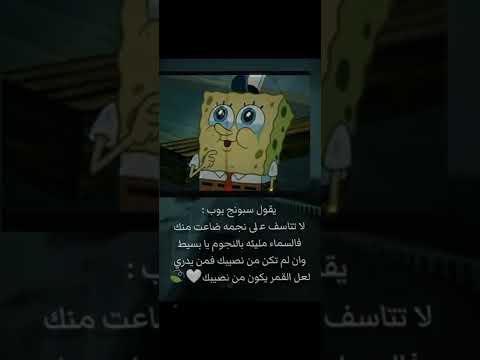 افضل مقولات سبونج بوب