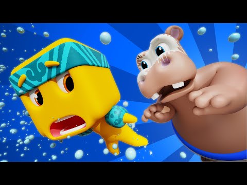 The Hippo Dance Shake, Shake, Shake! | D Billions Kids Songs