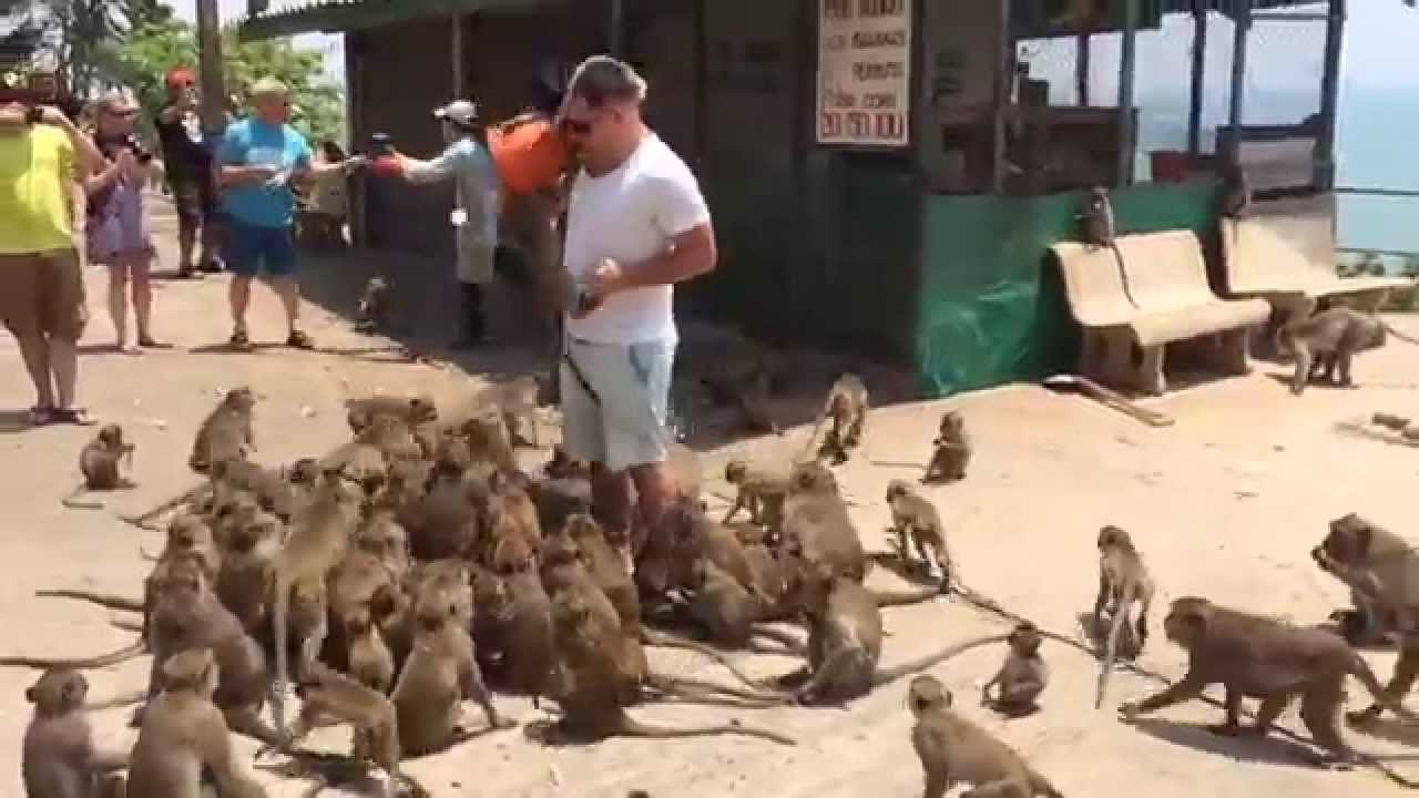 Monkey Mountain Hua Hin Thailand YouTube