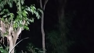 Download Lagu JPRM sedang live sekarang! GUBUK BERHANTU MP3 Download Lagu JPRM sedang live sekarang! GUBUK BERHANTU MP3