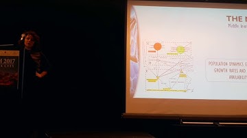 BIBM 2017 - Using Multi-level Petri Nets Models to Simulate Microbiota Resistance to Antibiotics