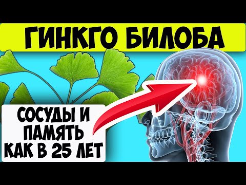 Гинкго Билоба - МОЗГ и ПАМЯТЬ СНОВА КАК В 25 лет.Ginkgo Biloba польза для человеческого организма