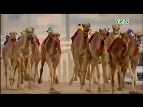 المركاض حلقة 1 11 2016