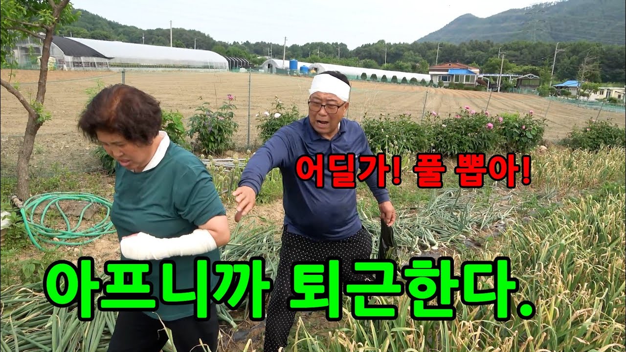 아파서 깁스했는데 남편이 안 믿는다면?