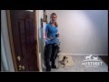 Stop Barking at the Doorbell Stop Barking at the Doorbell