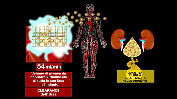 Quanto deve essere il GFR?