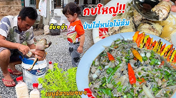 ป่นกบใหญ่!! ไส่หน่อไม้ส้ม เมนูแซ่บๆแบบอีสานบ้านเฮา!! กินกับกะแยงหอมๆ ลวกดอกแค เข้ากันขนาด!!