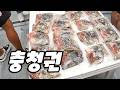 2024 주꾸미 낚시 태안권 다음 조금물때가 더 기대 되는 이유 그리고 갑오징어 이야기