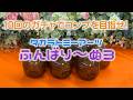 目指せコンプ！「ふんばり～ぬ３」ガチャ開封動画