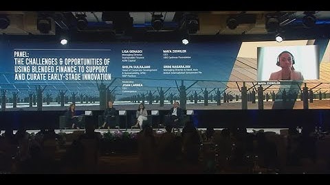 2022 Transition Finance towards Net Zero Conference – Design Funding for Blended Finance (Panel)