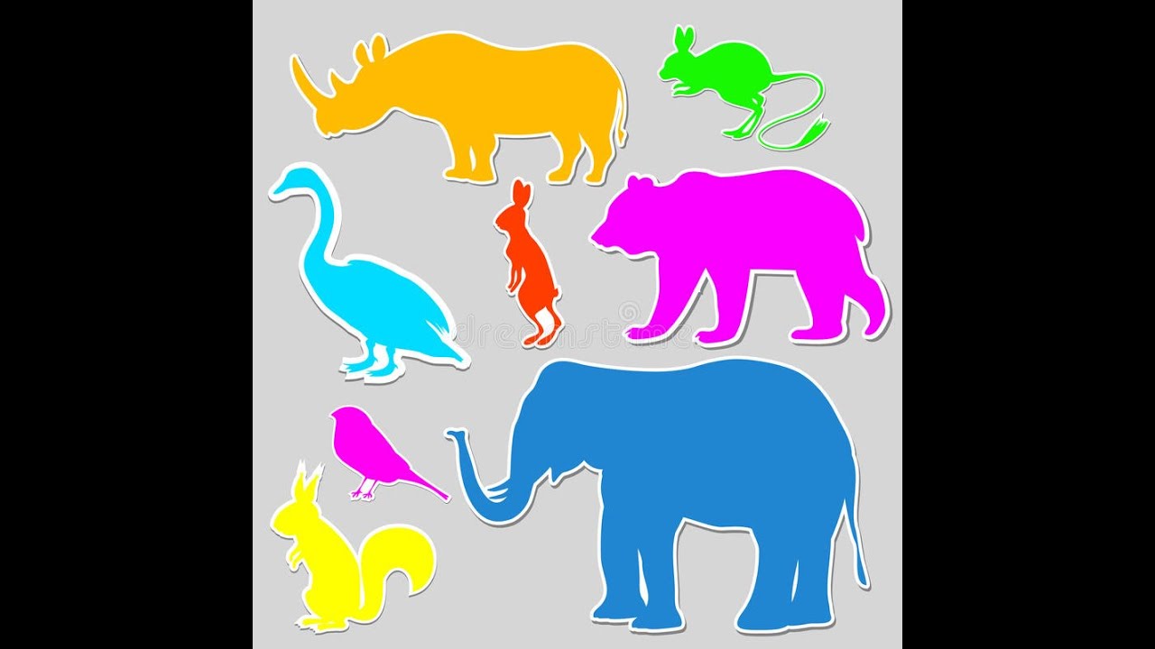 Угадай что за животное на картинке