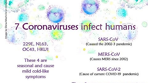 Introduction to SARS CoV 2 and COVID 19