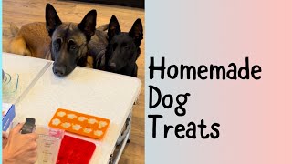 Homemade Dog Treat Kit  #smartdog #smartdog #dogtreats #belgianmalinois by Neu County 16,281 views 2 months ago 1 minute, 53 seconds